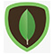 MongoDB